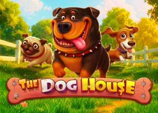 dm899 The Dog House ทดลองเล่นฟรี